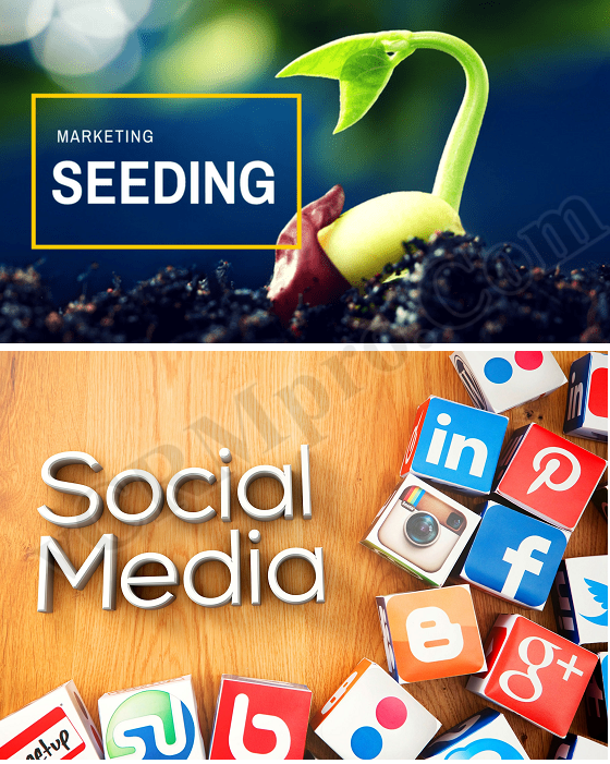 Tự động Seeding nội dung, bài viết lên các mạng xã hội nổi tiếng