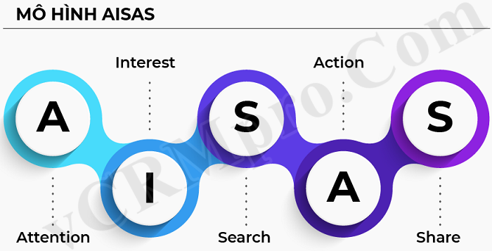Mô hình AISAS áp dụng trong Seeding