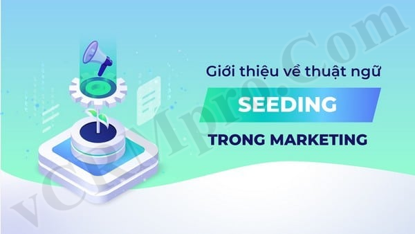 Seeding là gì trong hoạt động marketing